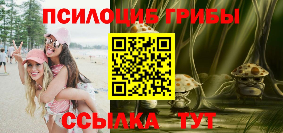 Галлюциногенные грибы Psilocybe Родники
