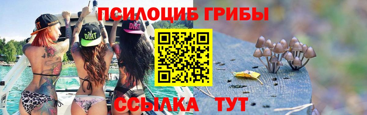 что такое наркотик  Псилоцибиновые грибы Magic Shrooms  Вход с VPN  Родники  Галлюциногенные грибы ЛСД 
